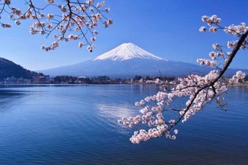 Lake Kawaguchi 