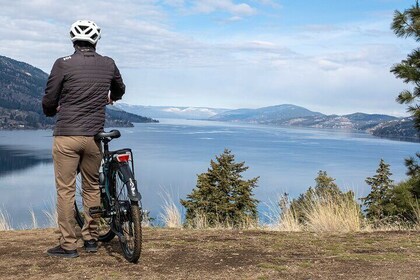 Okanagan Lake Views Guided E-Bike Tour with Picnic