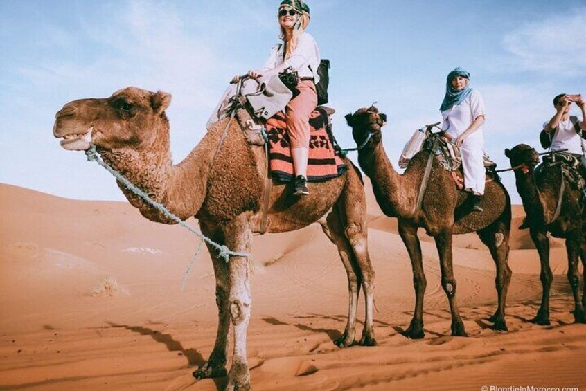 2 days luxury desert trip [fes to fes or marakech]
