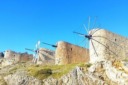 Private Tour Lasithi Zeus Cave Olive Oil Exploration & Shepherd