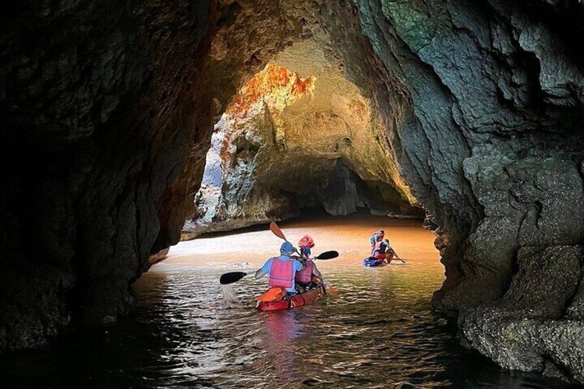 Kayak Tours with Amazing Caves, sea life and Marine Biologist .