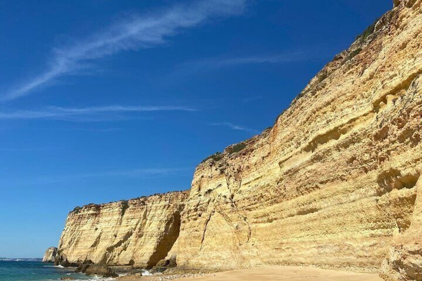 Kayak Tours with Amazing Caves, sea life and Marine Biologist .