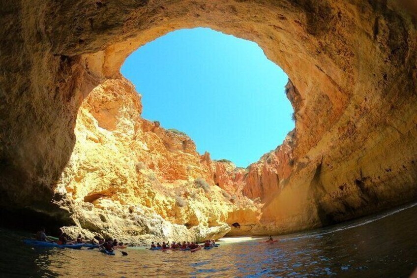 Kayak Tours with Amazing Caves, sea life and Marine Biologist .