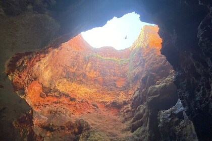 Kayak Tours with Amazing Caves, sea life and Marine Biologist .