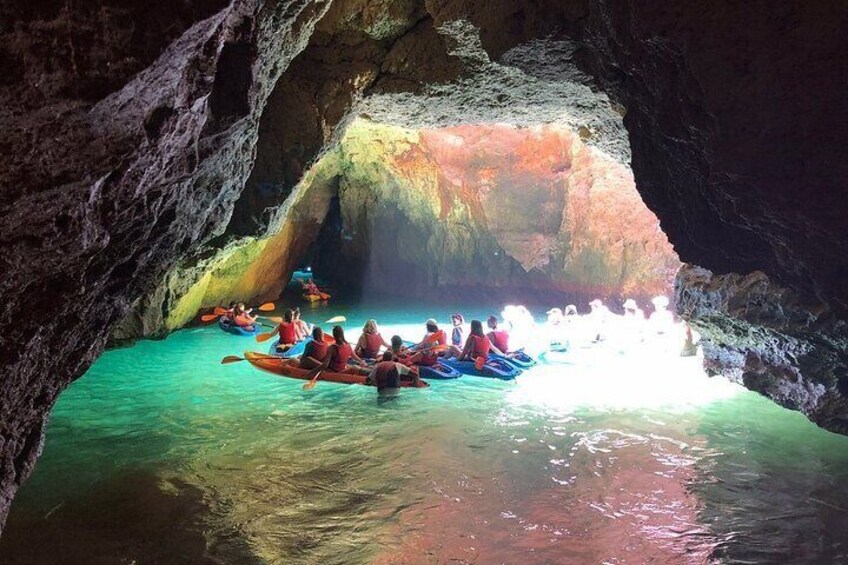 Kayak Tours with Amazing Caves, sea life and Marine Biologist .