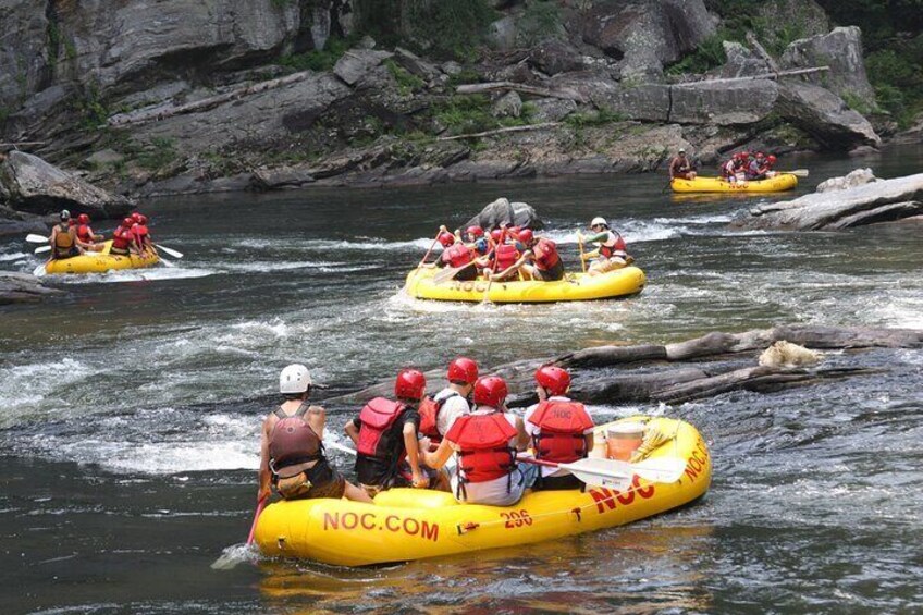 Chattooga River Rafting - Mild: Section 3