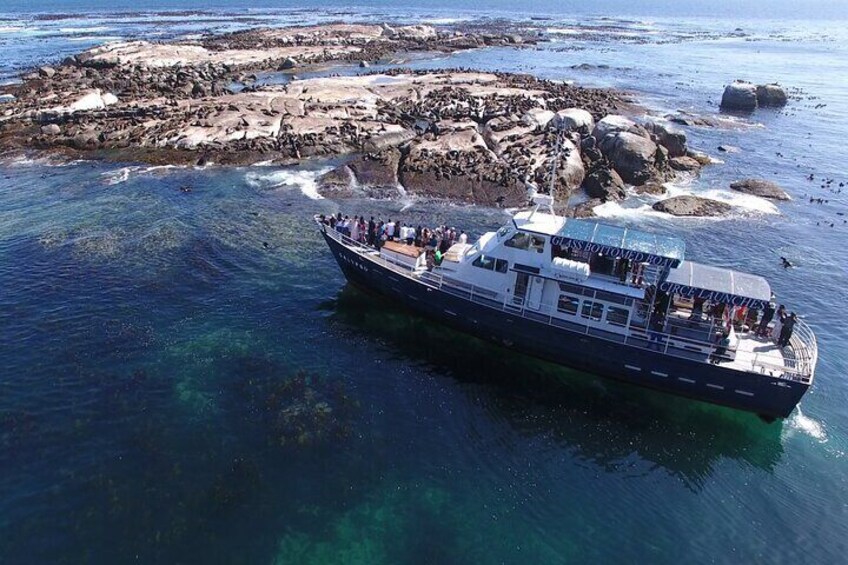 Seal Island,Cape of Good Hope&Penguins Shared Tour,From Cape Town
