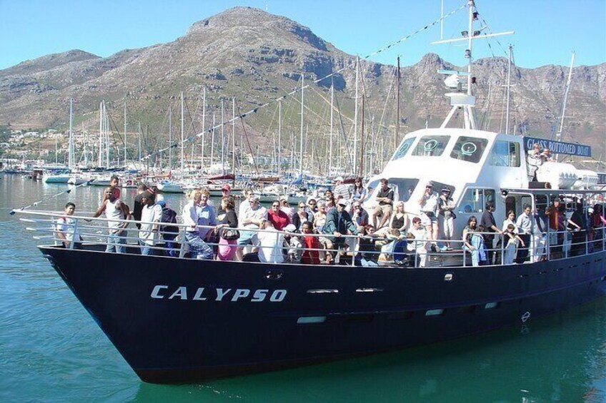 Seal Island,Cape of Good Hope&Penguins Shared Tour,From Cape Town