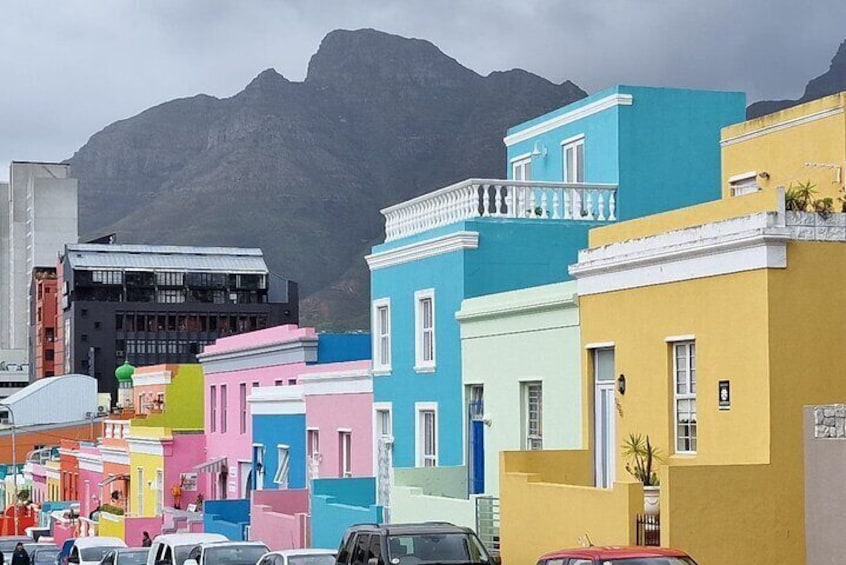 Seal Island,Cape of Good Hope&Penguins Shared Tour,From Cape Town