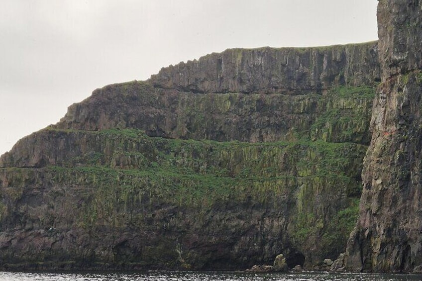 2-Hour Boat Trip in Faroe Island