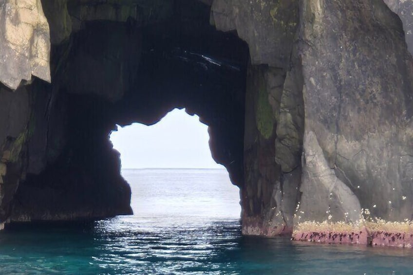 2-Hour Boat Trip in Faroe Island