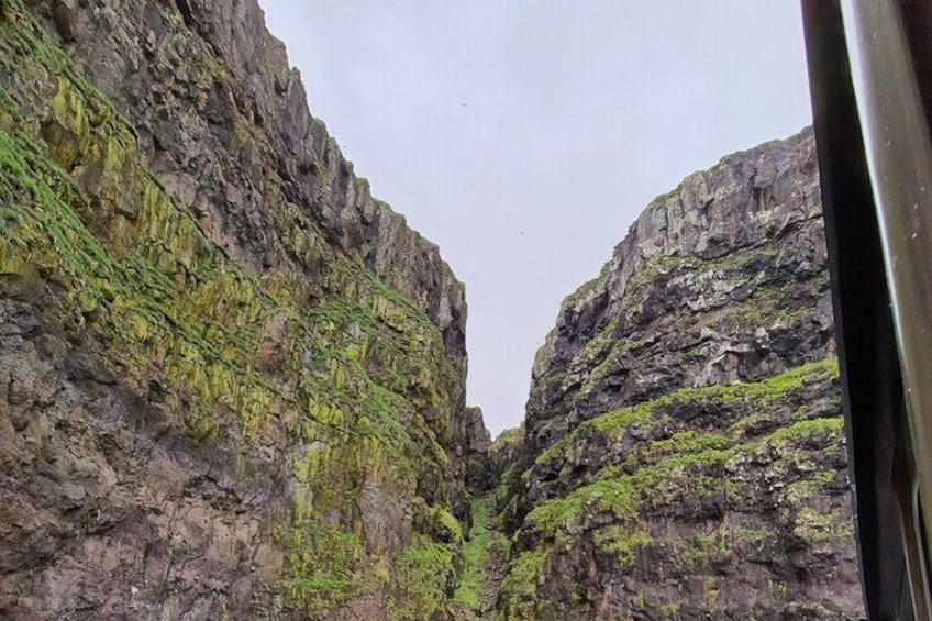 2-Hour Boat Trip in Faroe Island