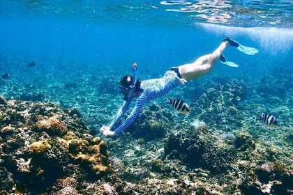 Private Fort Lauderdale's Underwater World Snorkel Adventure