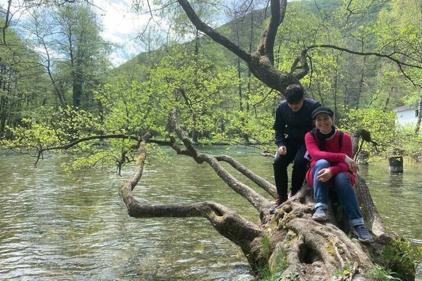 The spring of the Bosna River, Vrelo Bosne, Sarajevo, Bosnia and Herzegovina 