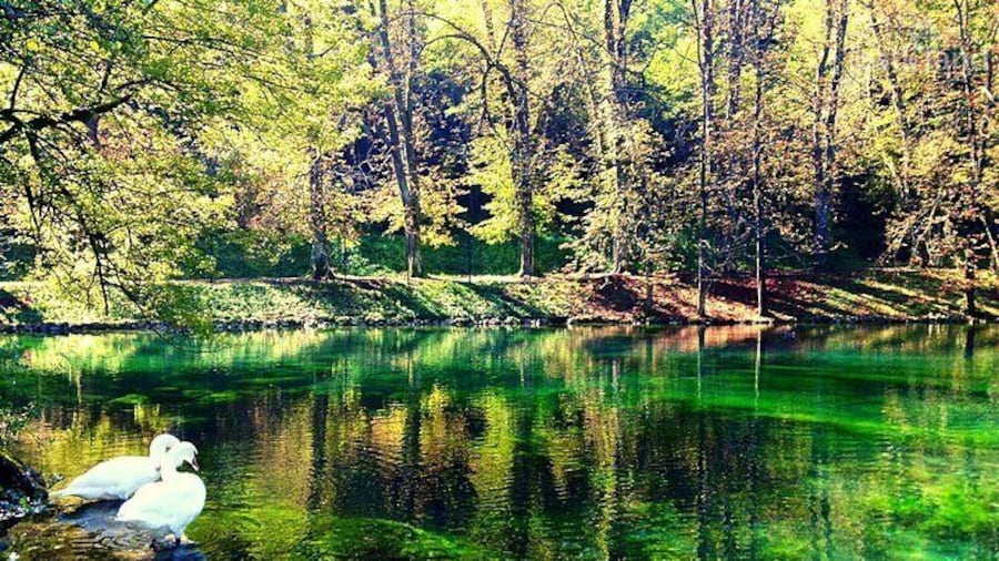 The spring of the Bosna River, Vrelo Bosne, Sarajevo, Bosnia and Herzegovina