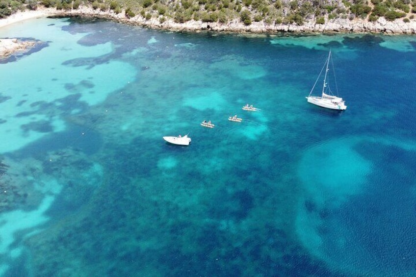 Hydrobike tour with aperitif and dolphins