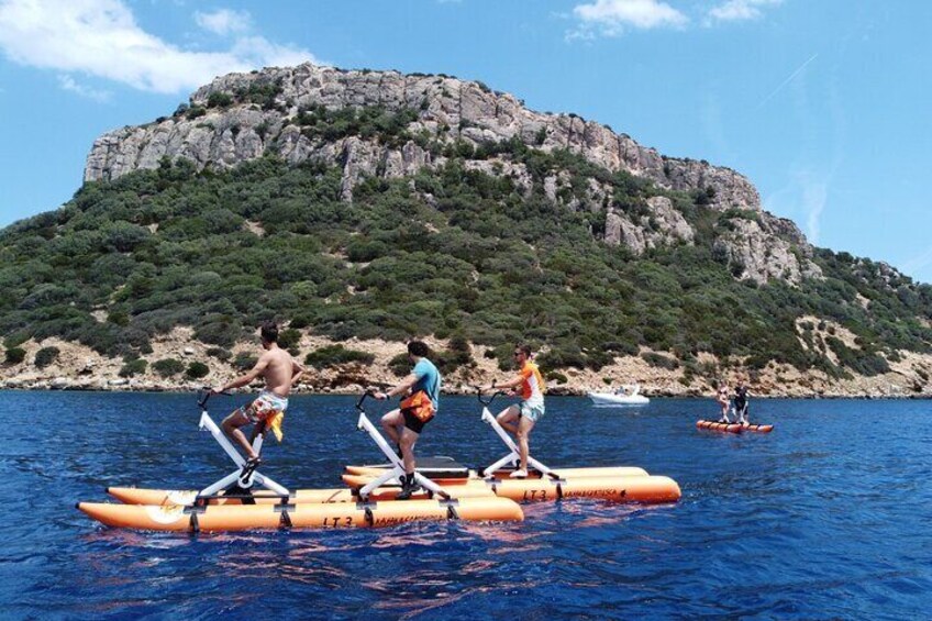 Hydrobike tour with aperitif and dolphins