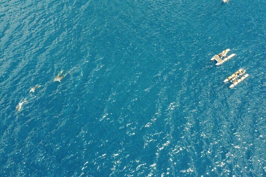 Hydrobike tour with aperitif and dolphins 