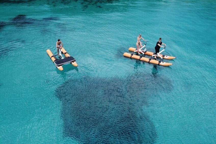 Hydrobike tour with aperitif and dolphins
