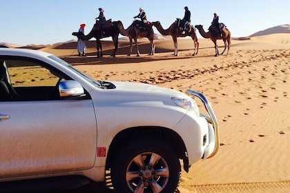 Agadir Sahara Day Trip with Lunch