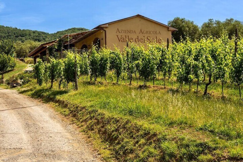 Valle del Sole Private Tour and Tasting of our Top Wines