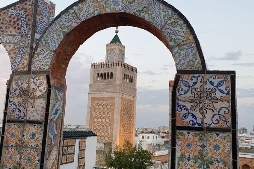 Private Full Day Tour in the Historical Sites in Tunis