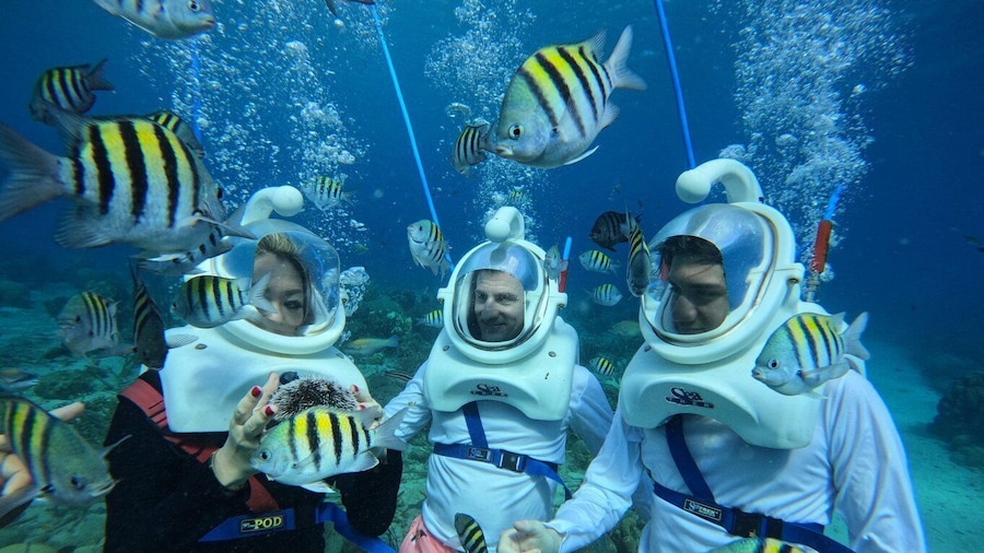 Willemstad: Guided Underwater Walking Experience