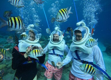 Willemstad : Randonnée sous-marine guidée