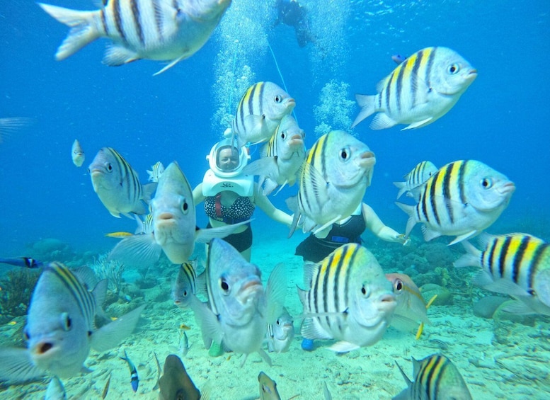 Picture 3 for Activity Willemstad: Guided Underwater Walking Experience