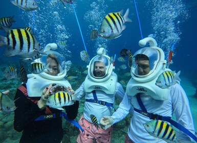 Willemstad: Guided Underwater Walking Experience