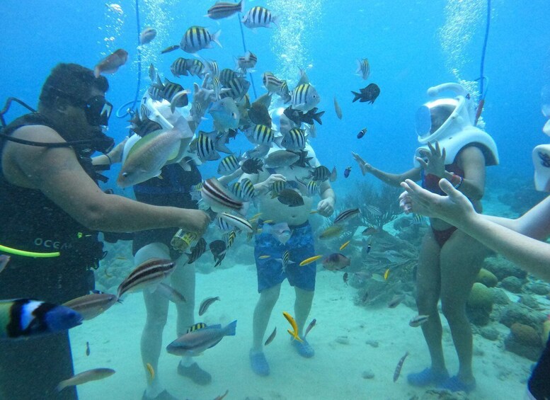 Picture 2 for Activity Willemstad: Guided Underwater Walking Experience