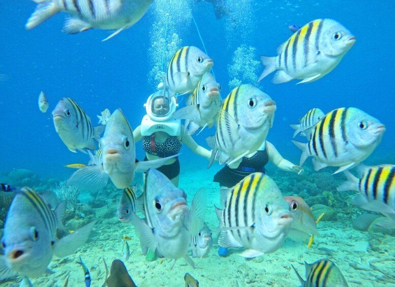 Picture 3 for Activity Willemstad: Guided Underwater Walking Experience