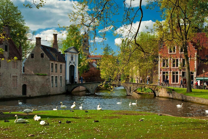 Picture 11 for Activity From Amsterdam. 12-Hour Guided Day Trip to Bruges