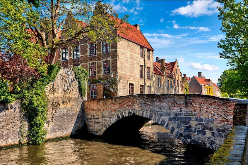 Picture 11 for Activity From Amsterdam: Day Trip to Bruges in Spanish
