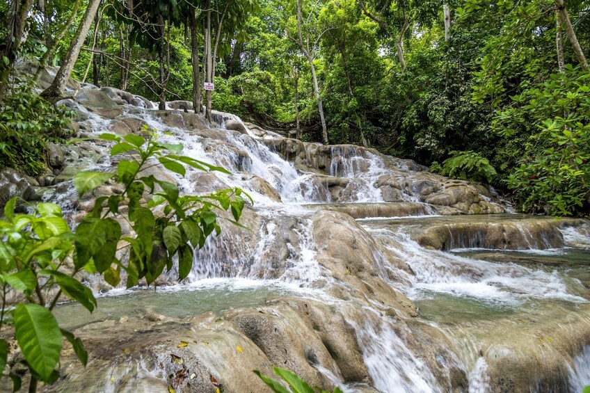 Dunn's River and Nine Miles