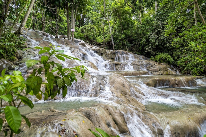 Dunn's River and Nine Miles