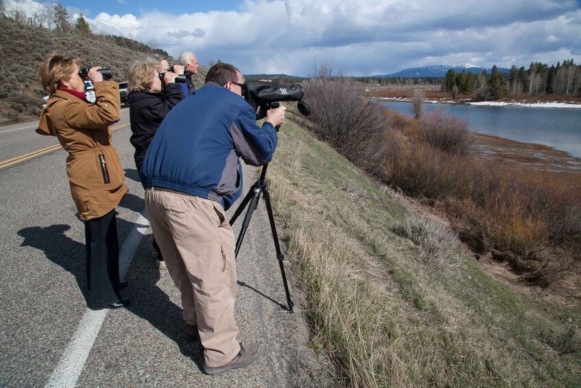 Picture 4 for Activity From Jackson Hole: Half-Day Grand Teton Wildlife Tour