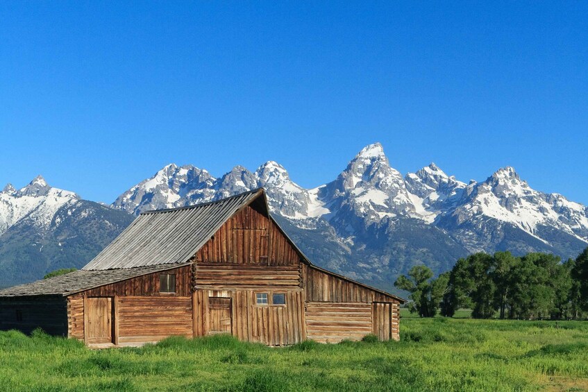 From Jackson Hole: Half-Day Grand Teton Wildlife Tour