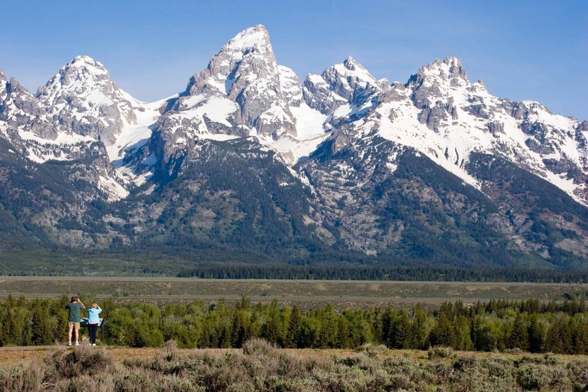 Picture 2 for Activity From Jackson Hole: Half-Day Grand Teton Wildlife Tour