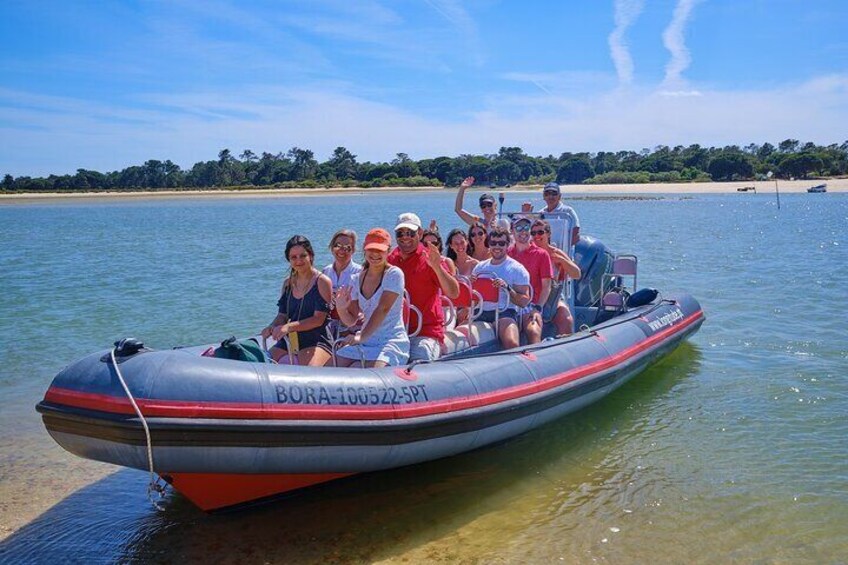 Dolphin watching in Setúbal