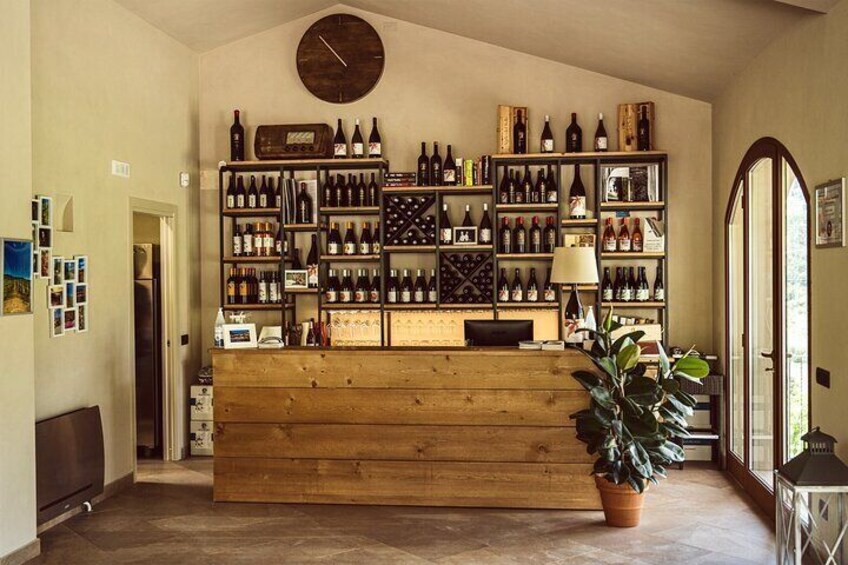 Valle del Sole Private Tour and Tasting of our 6 Wines