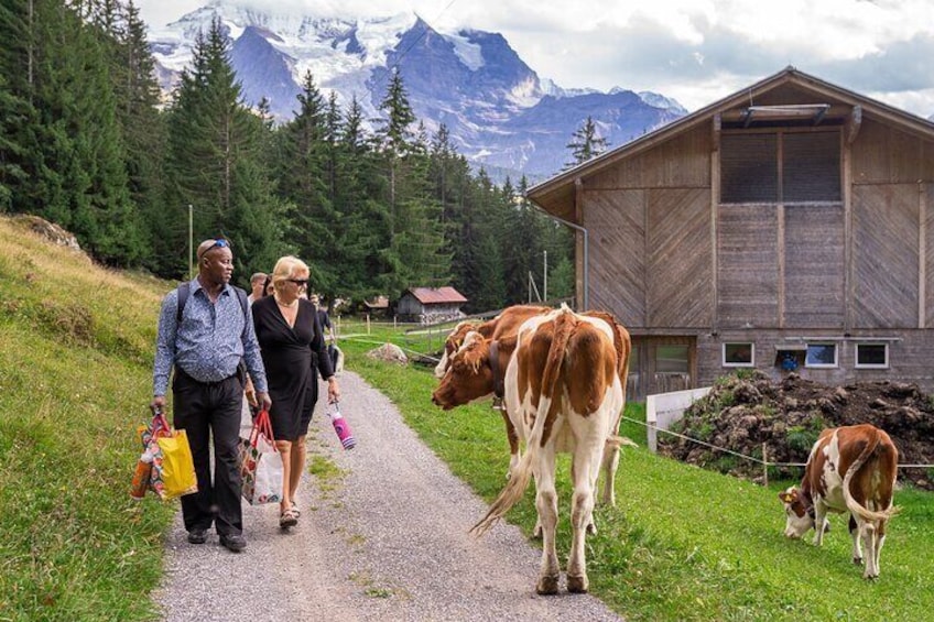 Easy countryside tour in Swiss Alps - kids friendly