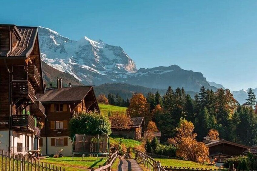 Visit a cute Alpine Farm full of animals in Wengen