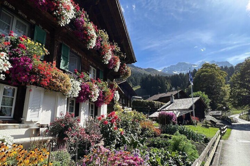 Visit a cute Alpine Farm full of animals in Wengen