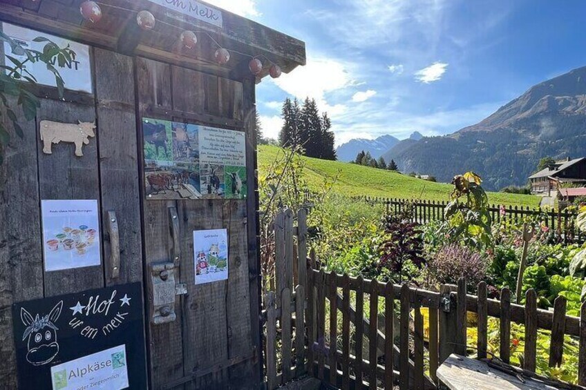Visit a cute Alpine Farm full of animals in Wengen