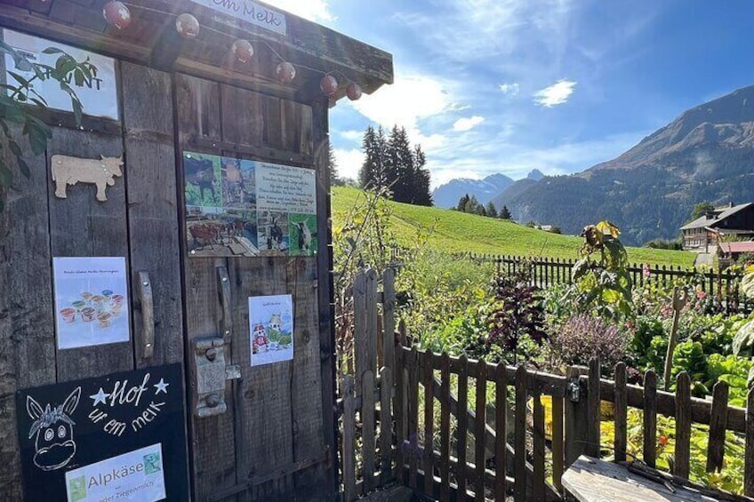 Visit a cute Alpine Farm full of animals in Wengen