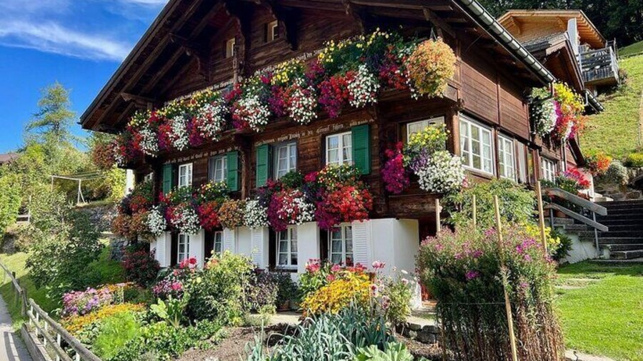 Easy countryside tour in Swiss Alps - kids friendly