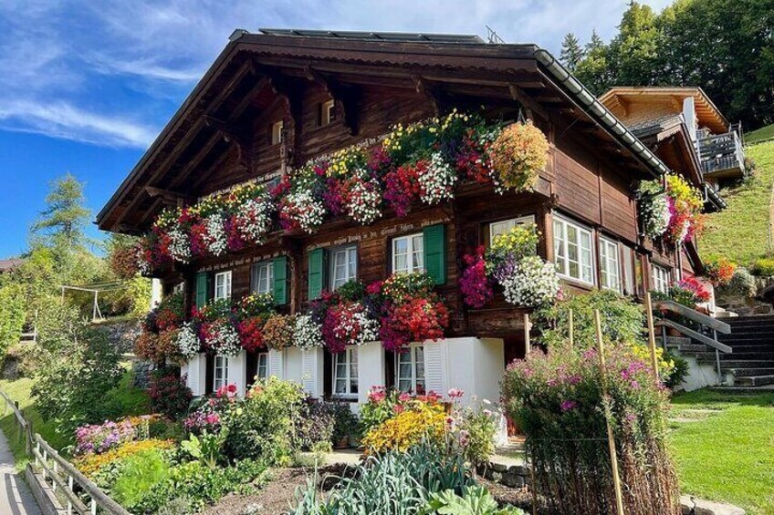 Visit a cute Alpine Farm full of animals in Wengen