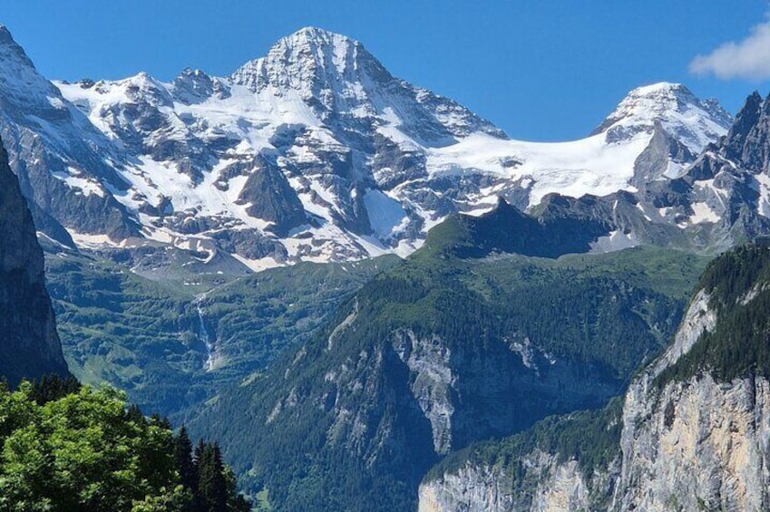 Visit a cute Alpine Farm full of animals in Wengen