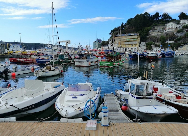 Picture 3 for Activity From Oviedo: Luarca, Cudillero and Avilés Day Trip